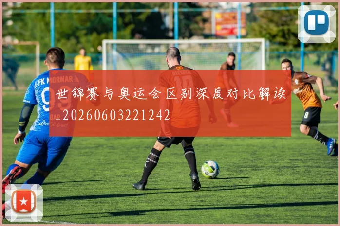世锦赛与奥运会区别深度对比解读_20260603221242